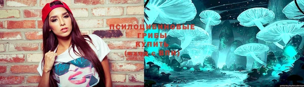 твердый Аркадак